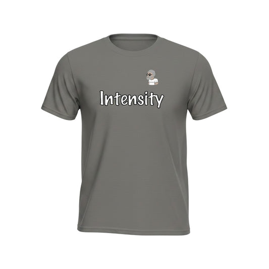 Big Daddy Allen Productions charcoal grey cotton t-shirt with "Intensity" graphic and cartoon character.