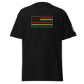 Big Daddy Allen Productions Pan-African American Flag graphic t-shirt in black with red, yellow, green stripes and gold stars.