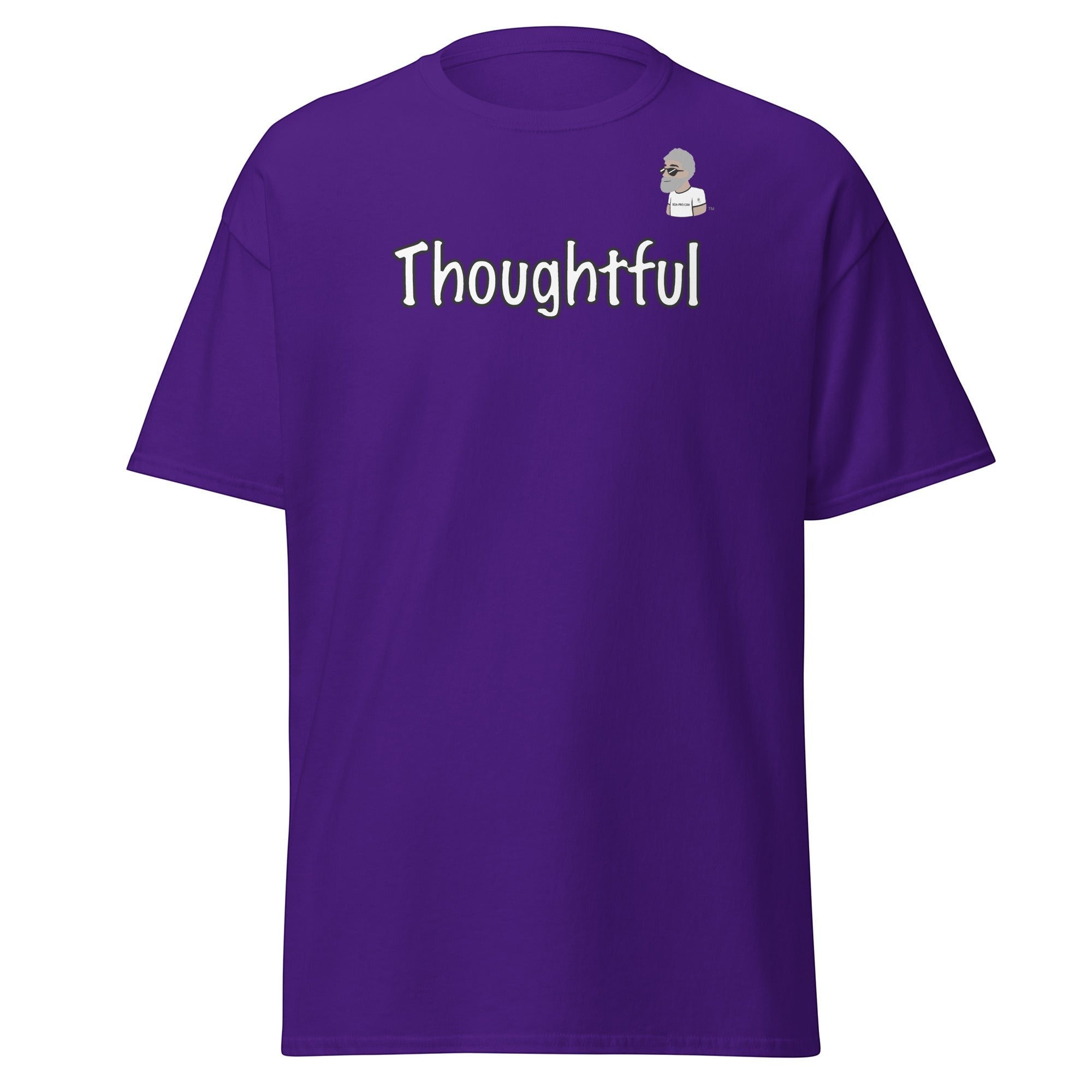 Big Daddy Allen Productions purple cotton t-shirt with